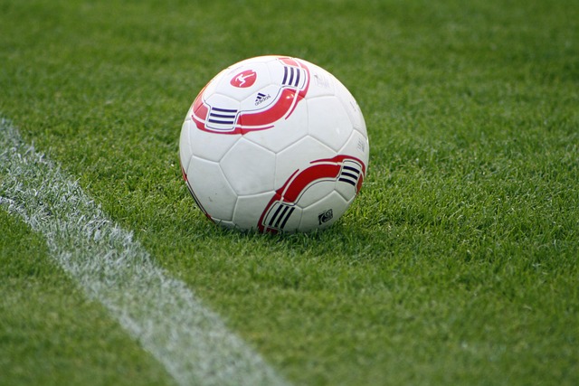 举报裁判偏 举报裁判偏