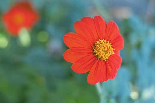 时有发生 时有发生