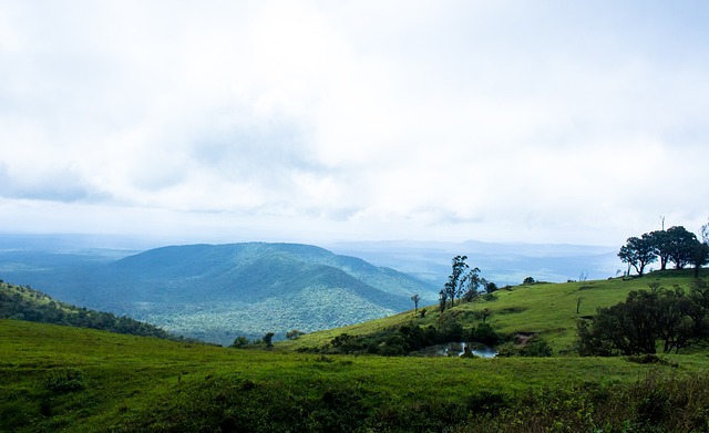 展望国足未 展望国足未