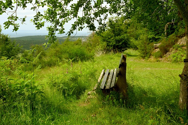 国米的强势 国米的强势