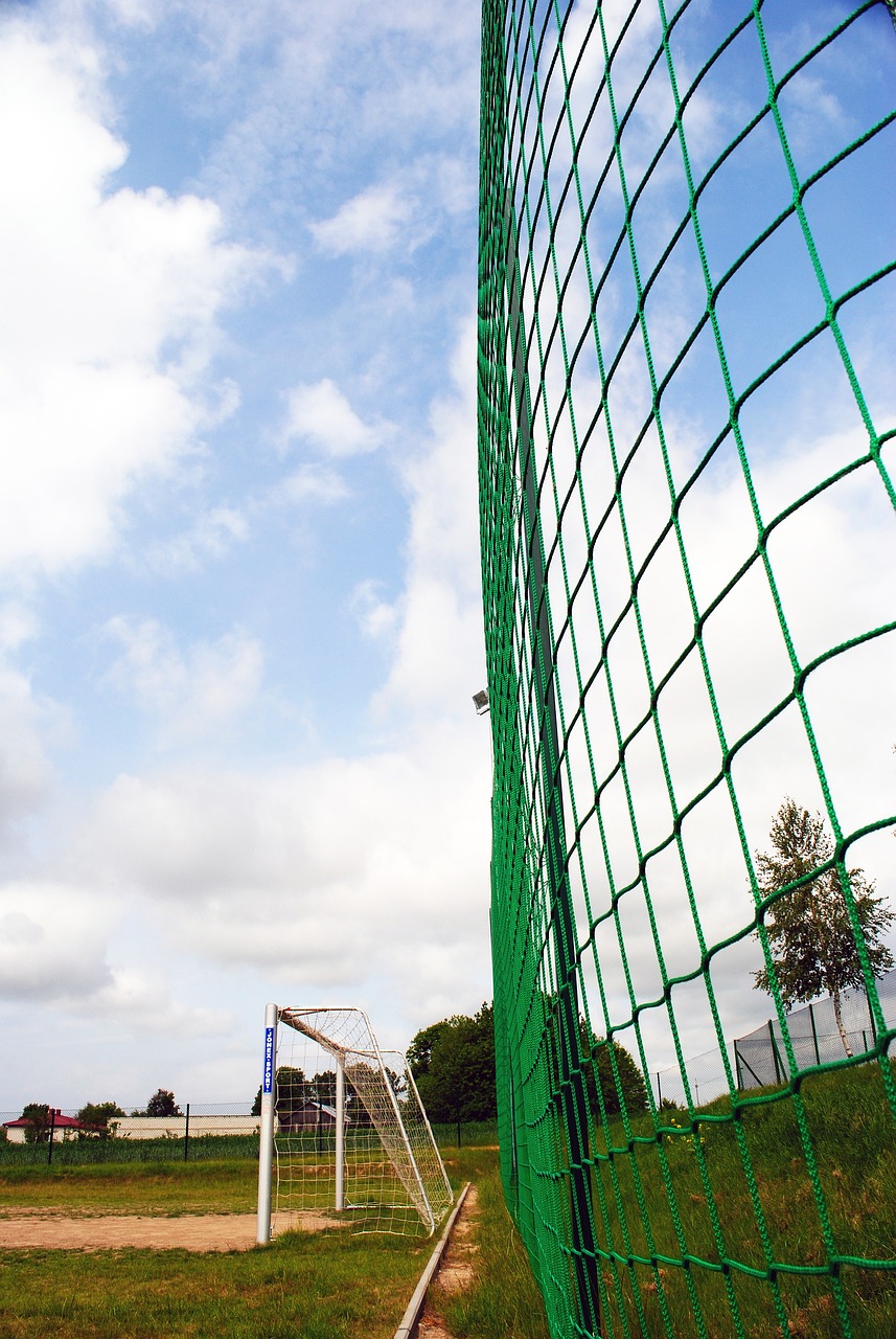 引入策略能 引入策略能