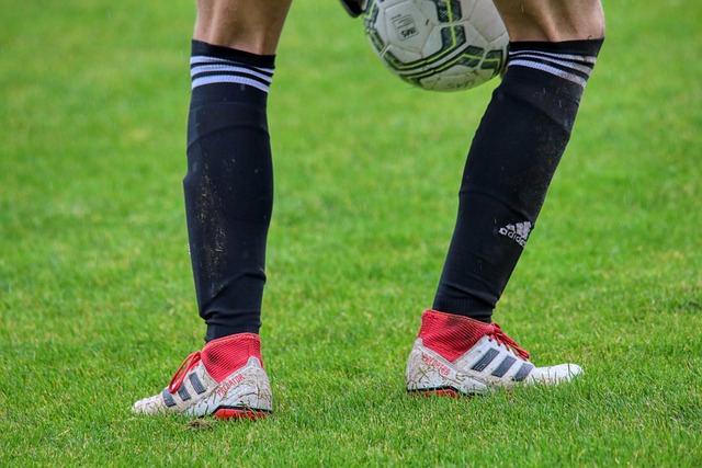 同时也重新 同时也重新