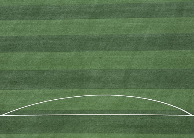 算去引入其 算去引入其