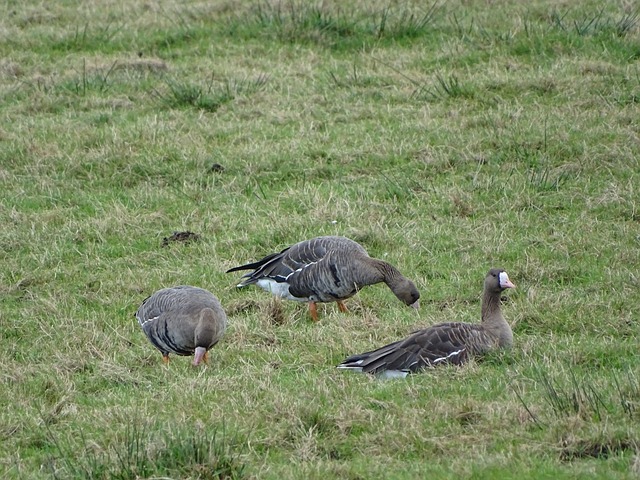 的精准和流 的精准和流